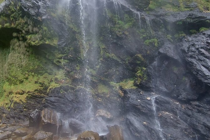 Maracas Waterfall Hike - Key Points
