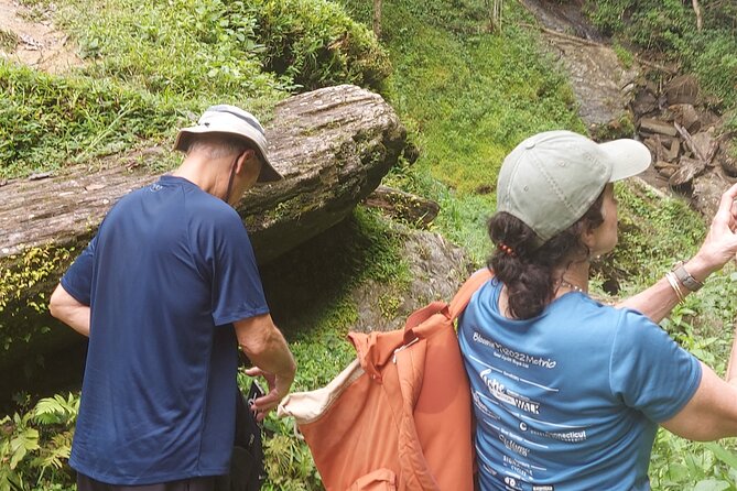 Maracas Waterfall Hike - Scenic Route to the Waterfall