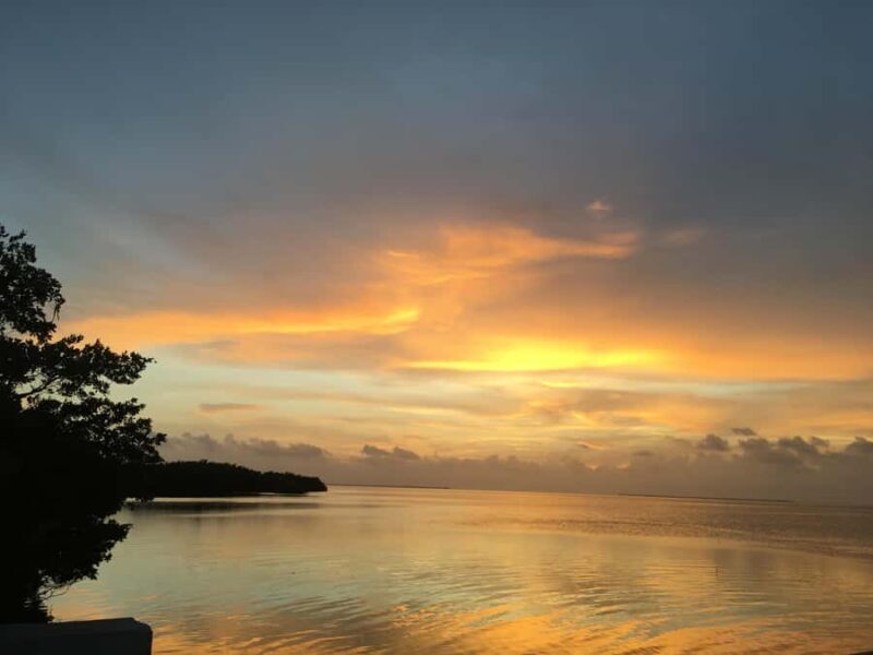 Marathon Key FL: Snorkel Trips and Sunset Cruises - An Introduction to the Tour Experience
