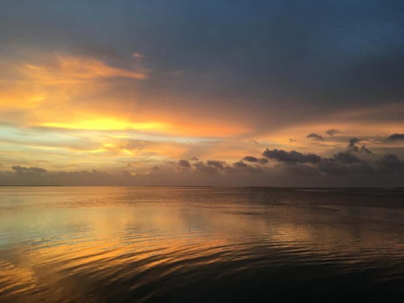 Marathon Key FL: Snorkel Trips and Sunset Cruises - What to Expect on the Day