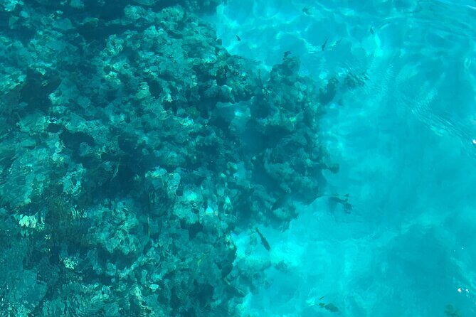 Marathon Sombrero Reef Snorkeling and Sandbar Swim - An In-Depth Look at the Tour Experience