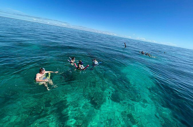 Marathon Sombrero Reef Snorkeling and Sandbar Swim - FAQs