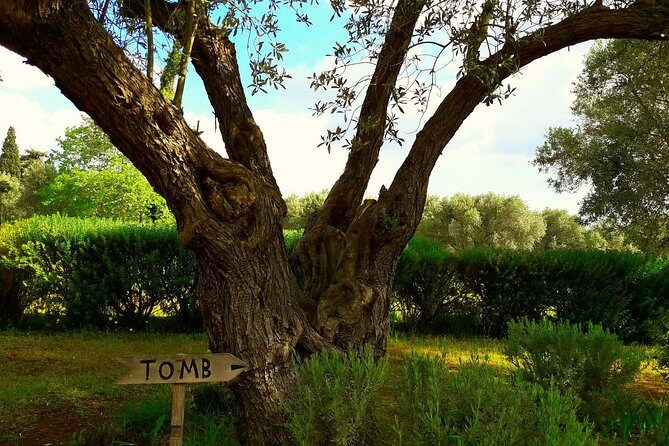 Marathon, Thermopylae/ Herodotus History private tour (9 hours) - An In-Depth Look at the Tour