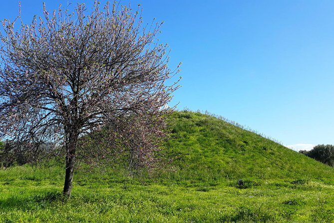 Marathon, Thermopylae/ Herodotus History private tour (9 hours) - Why This Tour Offers Great Value