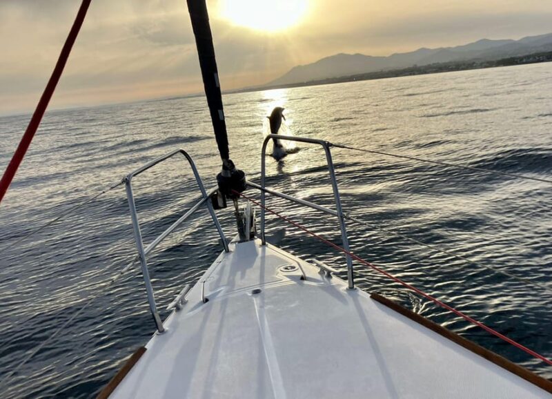 Marbella: Dolphin-Watching Sailboat Trip With Drinks, Snacks - Meeting Point