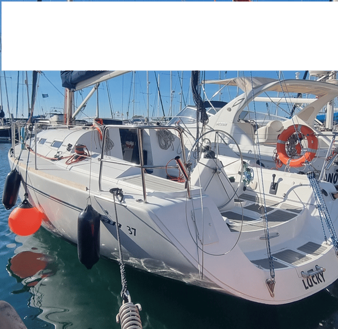 Marbella: Dolphin-Watching Sailboat Trip With Drinks, Snacks - Highlights of the Experience