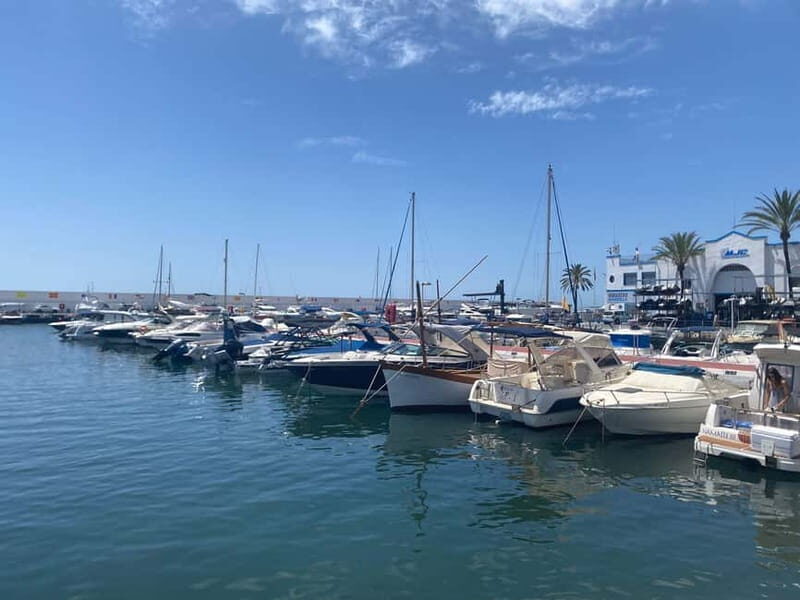Marbella: Exclusive private premium bike tour to Puerto Banus - Marbella: Exclusive Private Premium Bike Tour to Puerto Banús