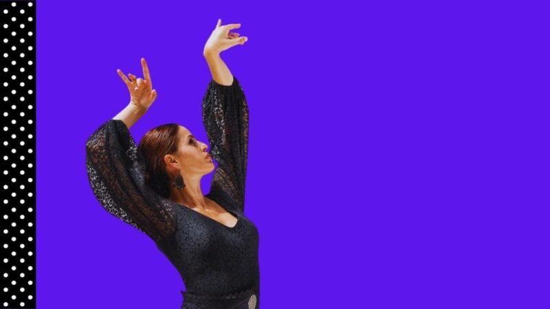 Marbella: Flamenco Dance Private Class To Learn a Choreo - Booking Information