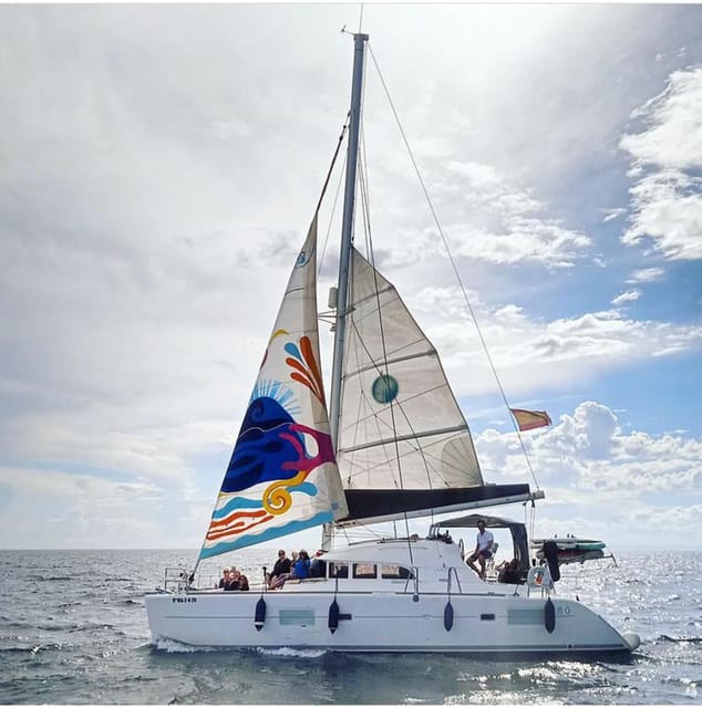 Marbella: Group Dolphin Watching Catamaran Tour With Drinks - Onboard Amenities