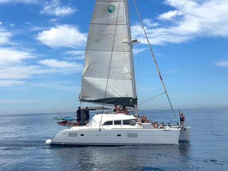 Marbella: Group Dolphin Watching Catamaran Tour With Drinks - Booking Information