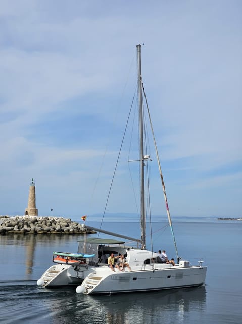 Marbella: Group Dolphin Watching Catamaran Tour With Drinks - Frequently Asked Questions