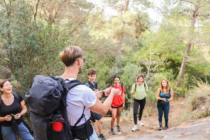 Marbella Guided Hiking and Foraging Adventure - Why This Tour Might Be Perfect for You