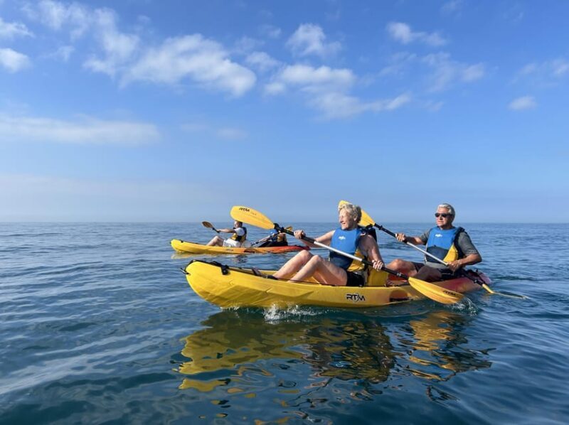 Marbella: Guided Kayak Tour in Puerto Banús - Who Should Join This Kayaking Tour?