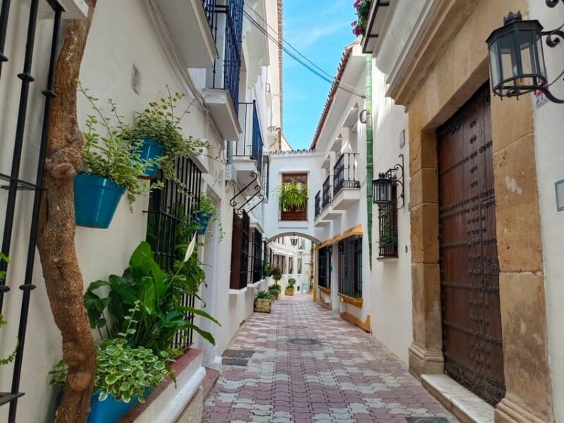 Marbella Private Tour & Puerto Banus to Walk on Your Own - Itinerary and Highlights