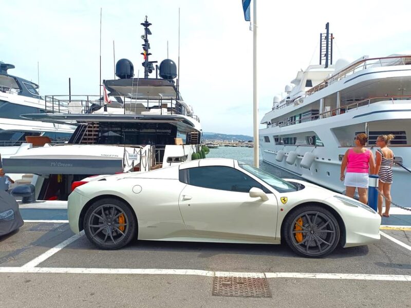Marbella Private Tour & Puerto Banus to Walk on Your Own - Accessibility and Group Information
