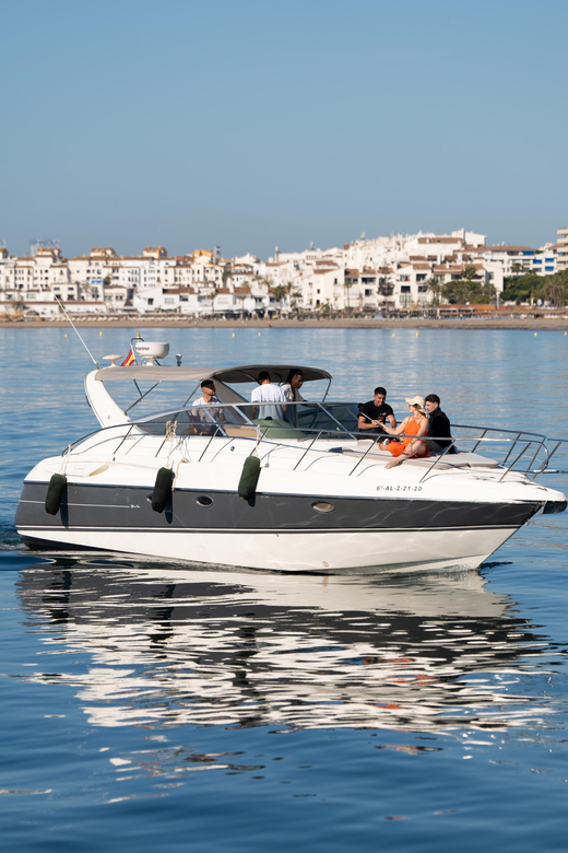 Marbella: Puerto Banús 2-Hour Dolphin Watching Cruise - Key Points