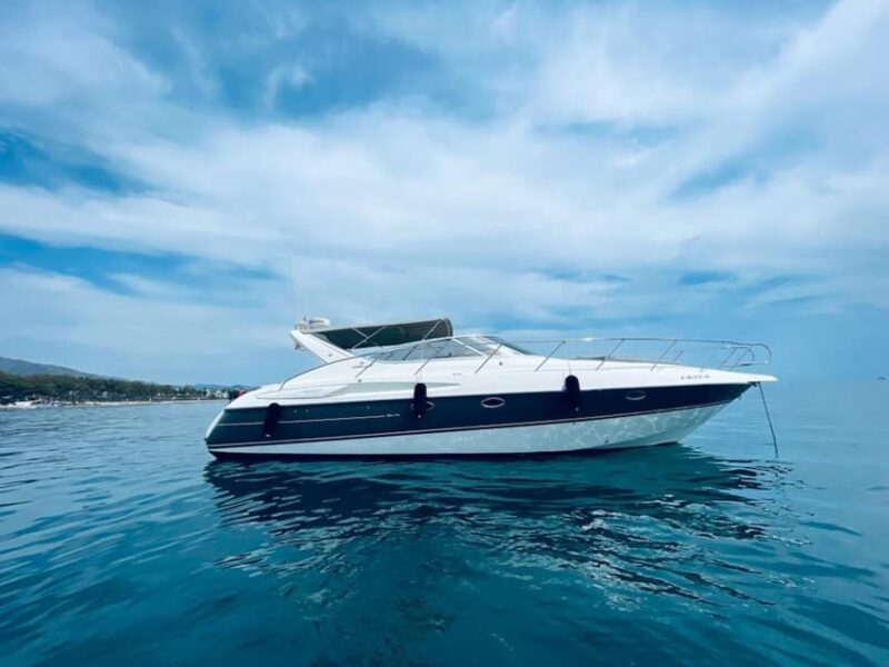 Marbella: Puerto Banús 2-Hour Dolphin Watching Cruise - Customer Feedback and Ratings