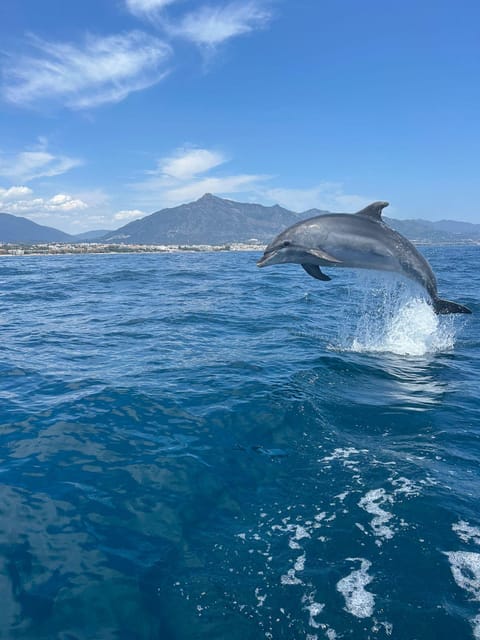 Marbella: Sailing & Dolphin Watching With Snacks and Drinks - Boat Details and Activities