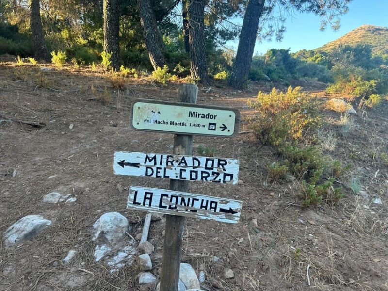 Marbella: The Concha Mountain Tour Including Snack and Drink - Wildlife and Nature Experience