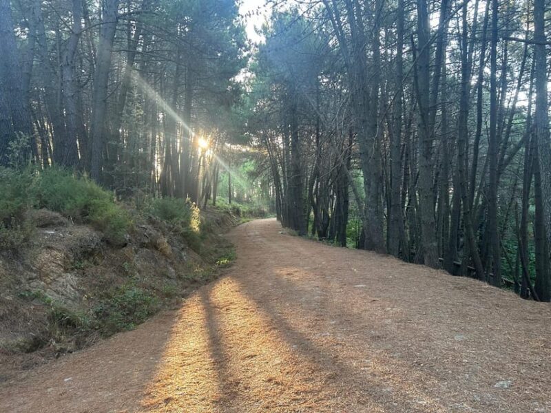 Marbella: The Concha Mountain Tour Including Snack and Drink - Meeting Point and Transportation
