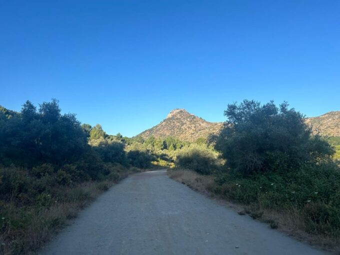 Marbella: The Concha Mountain Tour Including Snack and Drink - What to Bring and Wear