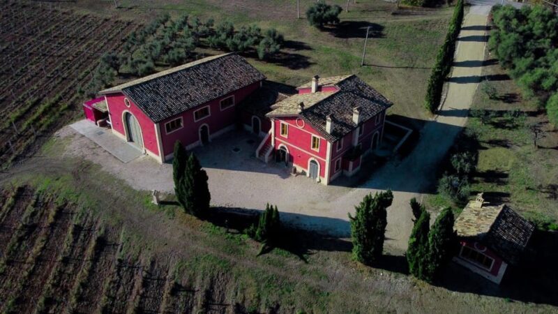 Marche: Tasting and Tour of Local Wines and Tastes at D'Erasmo Winery - An In-Depth Look at the Experience