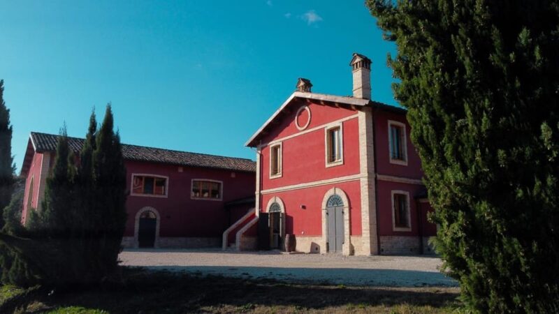 Marche: Unique Visit and Tasting at Derasmo Winery Among Signature Wines - Grape Processing and Winemaking Techniques