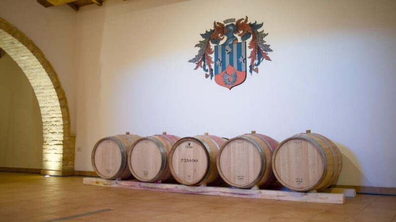 Marche: Unique Visit and Tasting at Derasmo Winery Among Signature Wines - Panoramic Views of the Vineyard