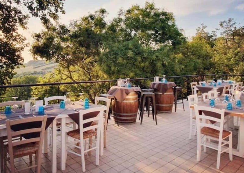 Marche Wines: Explore the Richness of Local Flavors - Introduction: A Taste of Marche’s Wine Heritage