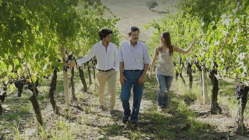 Marche Wines: Explore the Richness of Local Flavors - Who Should Consider This Experience?