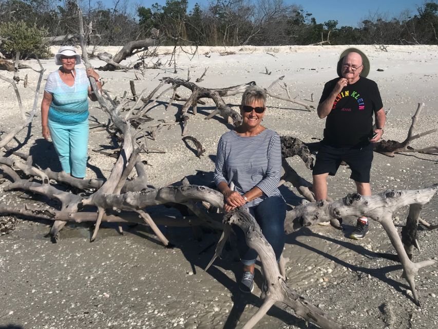 Marco Island: 1Ten Thousand Islands Dolphin & Shelling Tour - Highlights