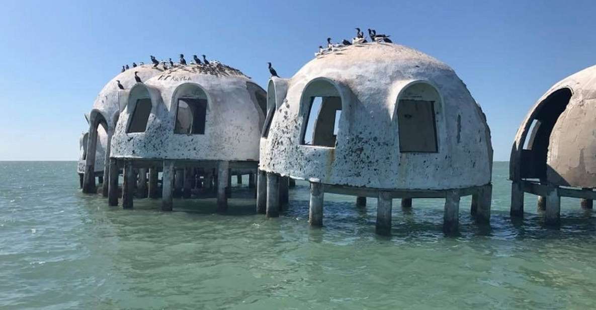 Marco Island: 1Ten Thousand Islands Dolphin & Shelling Tour - Inclusions