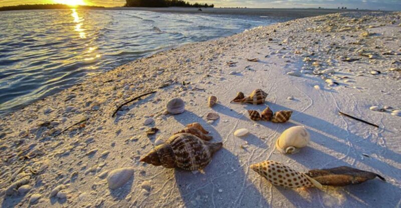 Marco Island: 2 Private Hour Sunset Boat Tour - An Honest Look at the Experience