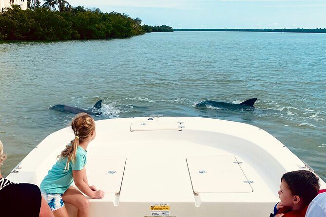Marco Island and 10,000 Islands Sightseeing with Dolphin Tour - Key Points