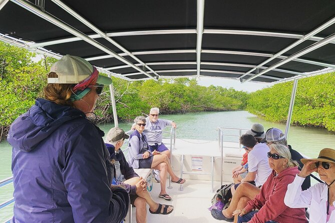 Marco Island Dolphin Sightseeing Tour - Additional Info