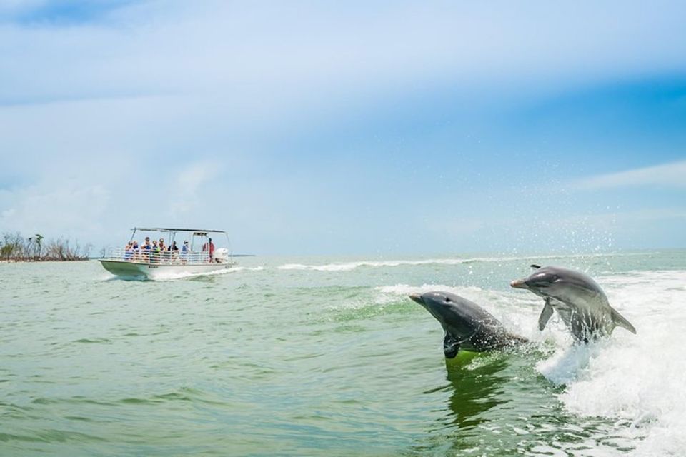 Marco Island: Dolphin-Watching Boat Tour - Inclusions