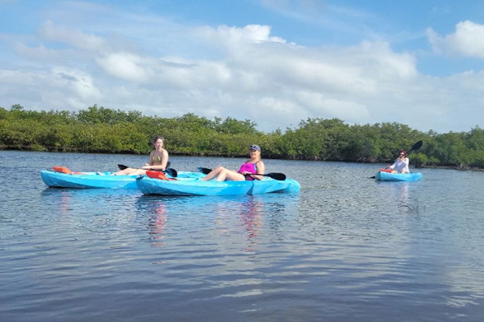 Marco Island: Guided Manatee-Watching Kayaking or SUP Tour - Exploring Marco Island