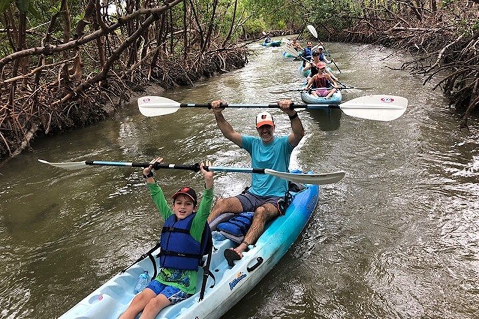 Marco Island: Kayak Mangrove Ecotour in Rookery Bay Reserve - Local Flora and Fauna Sightings