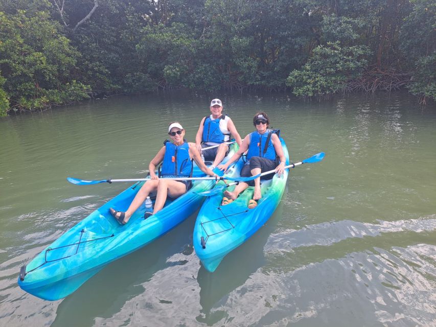 Marco Island: Kayak Mangrove Ecotour in Rookery Bay Reserve - Observing Oyster Reefs and Mudflats