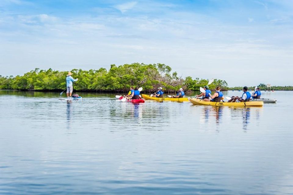 Marco Island: Kayak Mangrove Ecotour in Rookery Bay Reserve - Kayaking Gear and Safety Briefing Included
