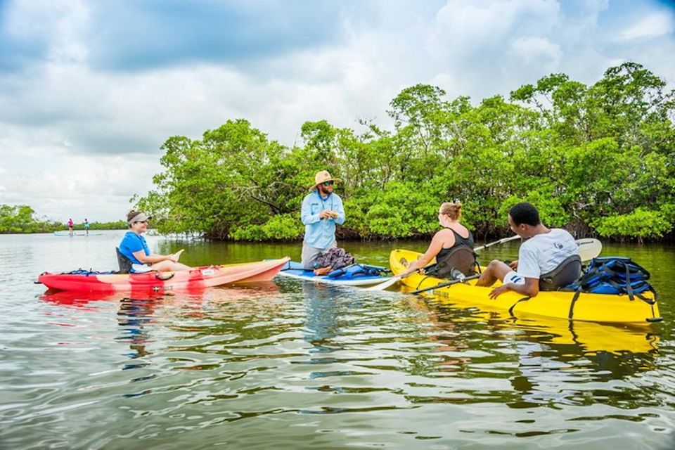 Marco Island: Kayak Mangrove Ecotour in Rookery Bay Reserve - Booking and Cancellation Information