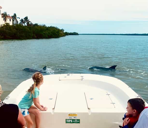 Marco Island: Private Shelling & Dolphin Excursion - Key Points
