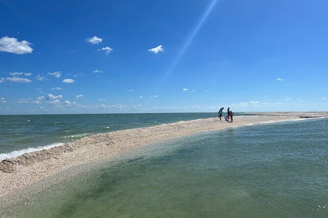 Marco Island Private Tubing, Dolphin Watching and Shelling Tour - Why Choose This Tour? A Deep Dive