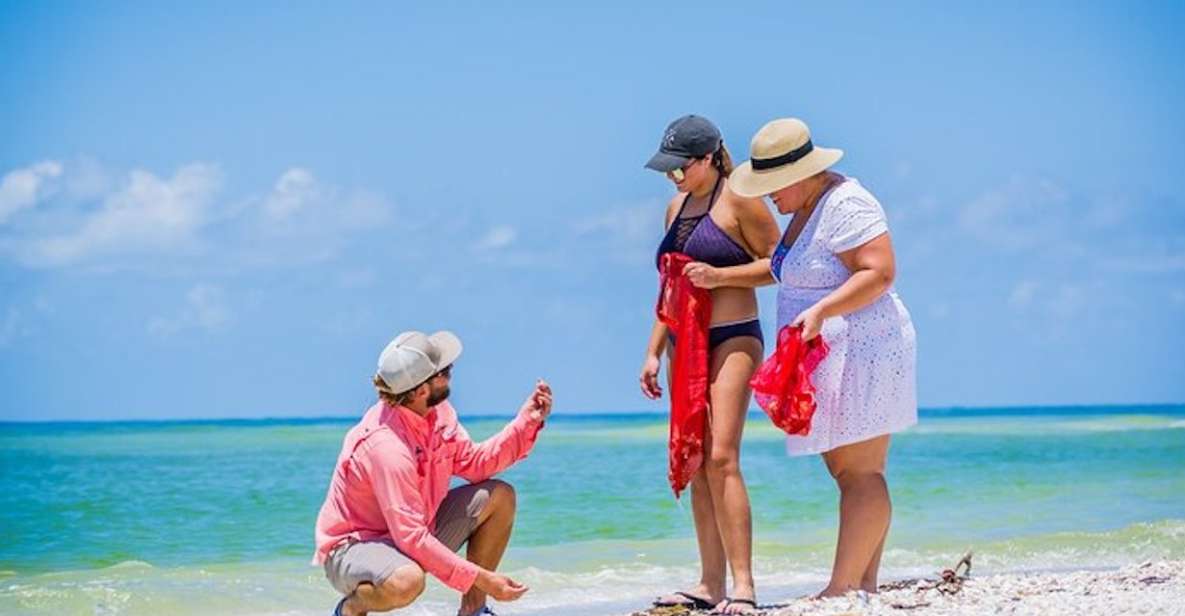 Marco Island: Shelling and Sightseeing Boat Cruise - Activity Highlights