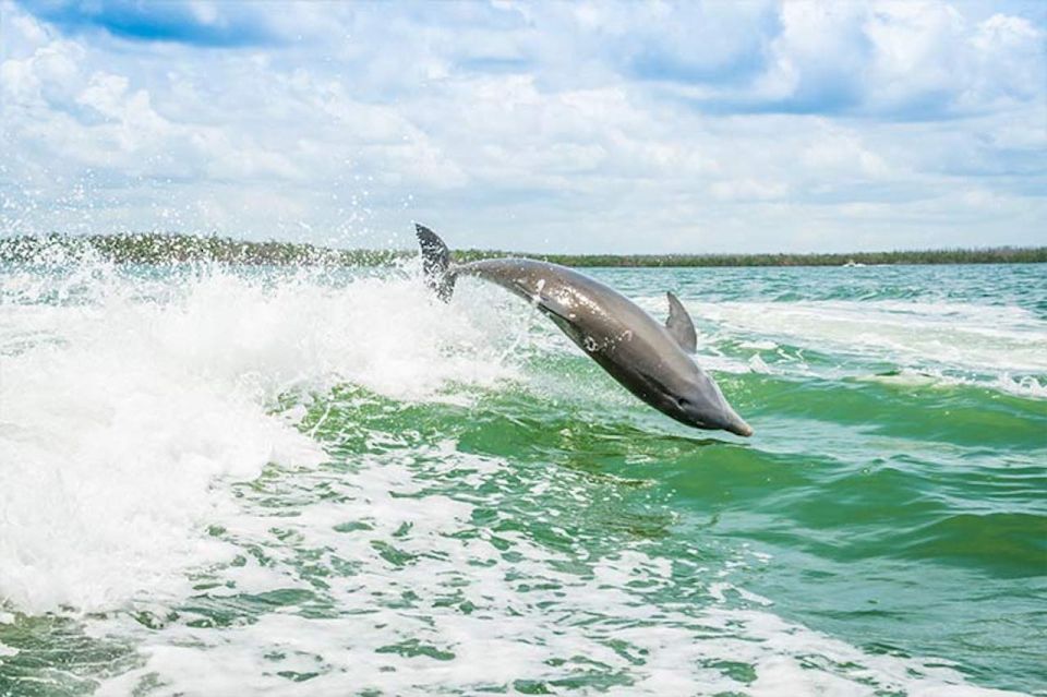 Marco Island: Shelling and Sightseeing Boat Cruise - Meeting Point