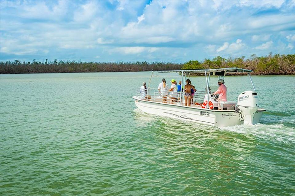Marco Island: Shelling and Sightseeing Boat Cruise - What to Expect