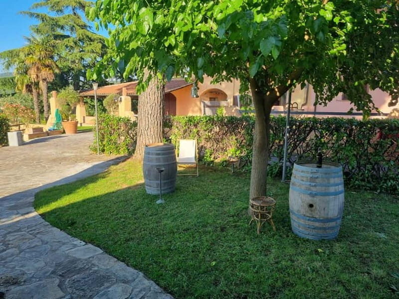 Maremma: oil and wine tasting with dinner - An Authentic Taste of Tuscany in the Maremma