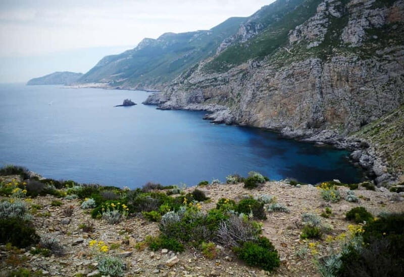 Marettimo: cruise from Trapani w/lunch and visit the caves - Pricing & Value
