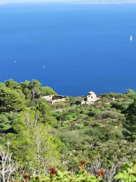Marettimo Hiking and Nice Boat Tour to Visit Sea Caves - Boat Tour Specifics