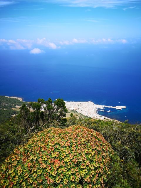 Marettimo Hiking and Nice Boat Tour to Visit Sea Caves - Participant Minimum